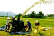 Phát triển nông nghiệp bền vững trong hội nhập ASEAN